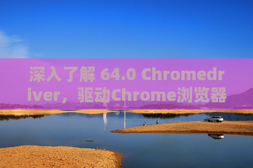 深入了解 64.0 Chromedriver，驱动Chrome浏览器的关键工具